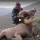 Video: Do-It-Yourself Bighorn Sheep Hunt in Idaho